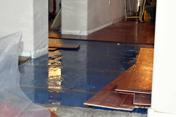 Professional Burst Pipe Cleanup technician working in Hampton Falls, NH